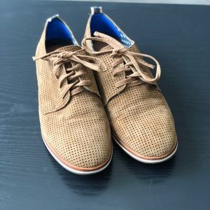 ED Ellen Degeneres Oxford